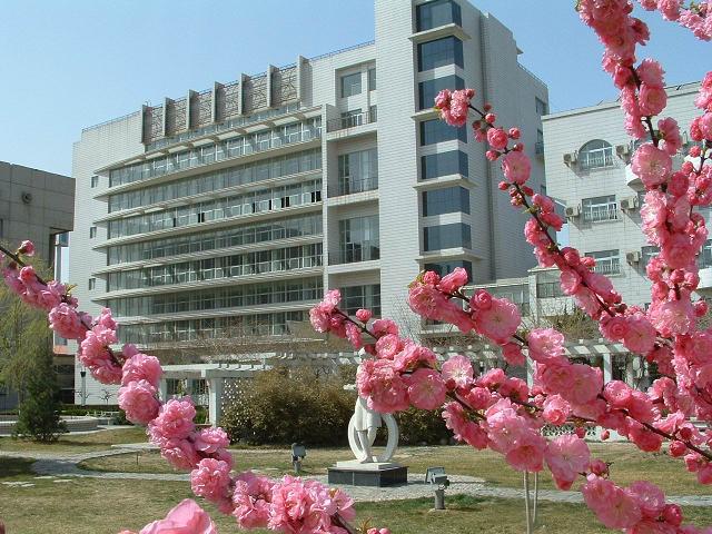 黄网址2003